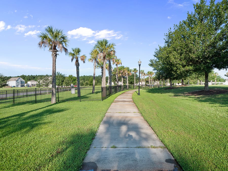 Furnished Finder property 1003698_1 photo 25