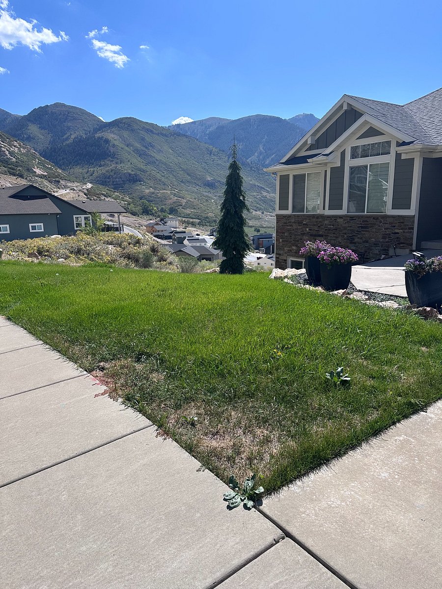 Beautiful mountain backdrop and open green space surrounding the property.