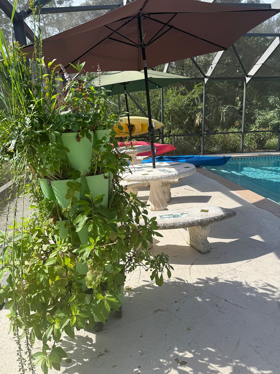 Furnished Finder property 1003807_1 photo 10