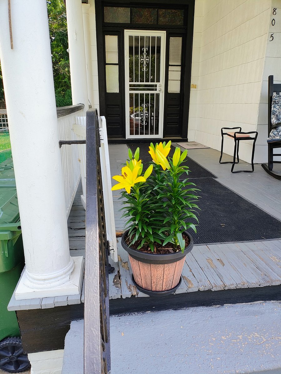 Furnished Finder property 1003838_1 photo 13