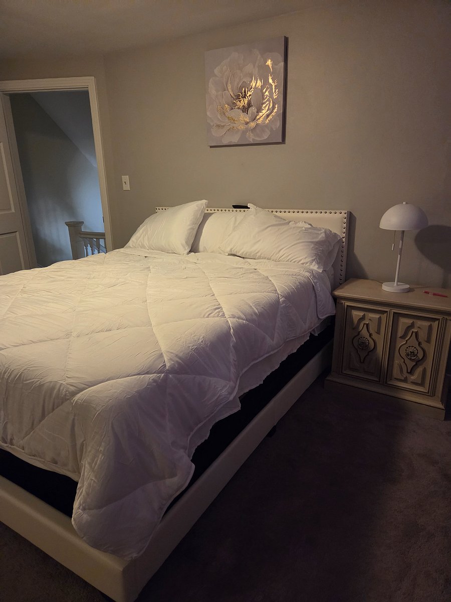 Furnished Finder property 1003877_1 photo 13