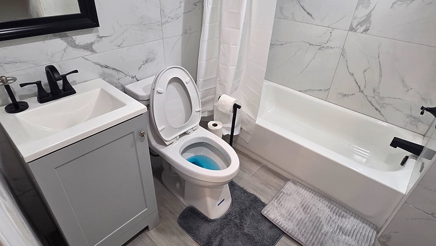 Furnished Finder property 1003954_1 photo 5