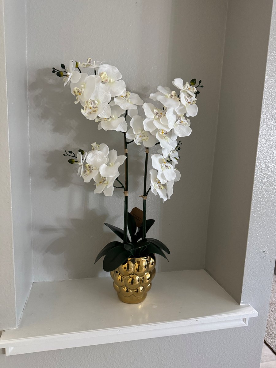 Furnished Finder property 1003958_1 photo 31