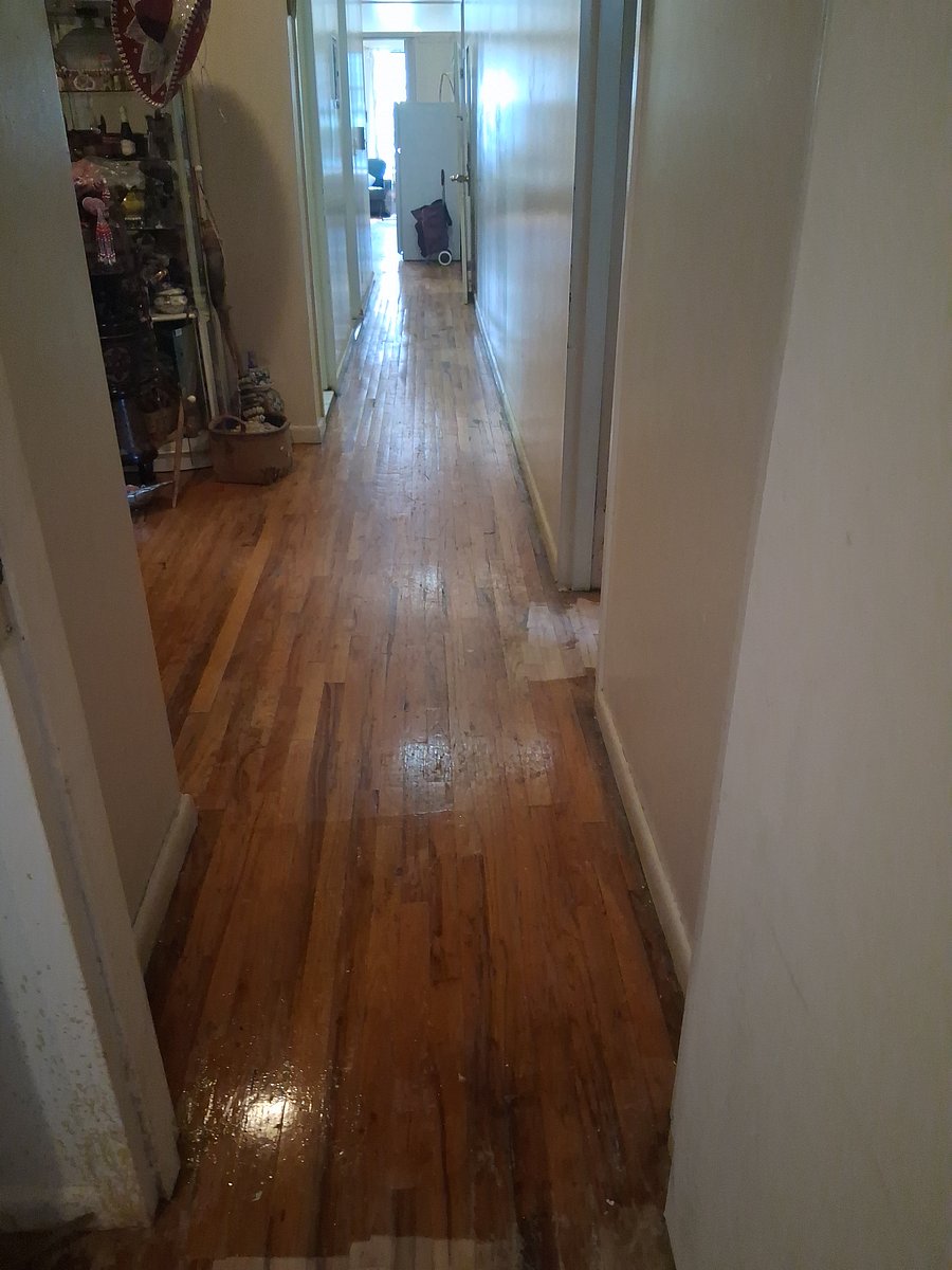 Furnished Finder property 1003988_1 photo 6