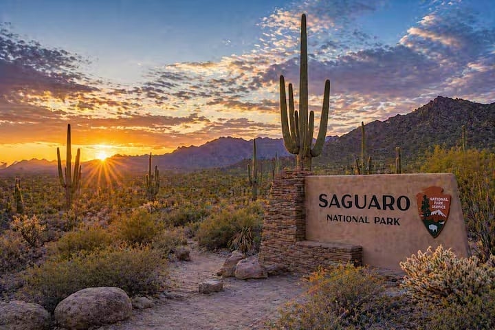 Experience the iconic Sonoran Desert at nearby Saguaro National Park, perfect for hiking, sunset views, and spotting towering cacti.