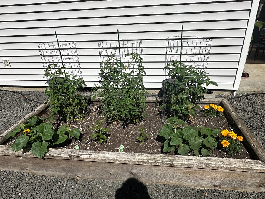 There's a garden in the summer months