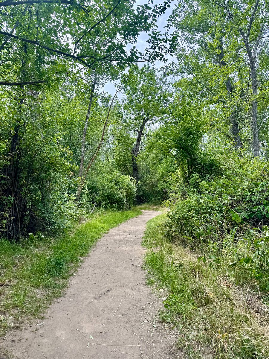 Walking trails at nearby Barber Park