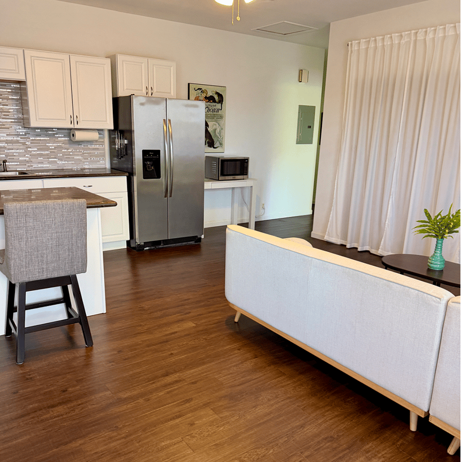 Open concept living room and kitchen