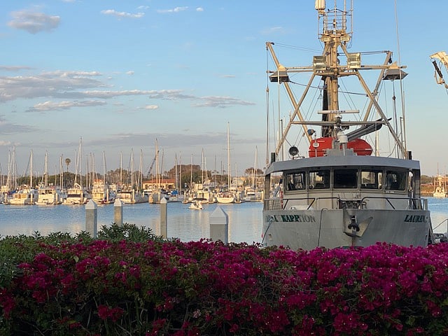 Ventura Harbor: music, food, ice cream, souvenirs, water rentals across from Mother's Beach.