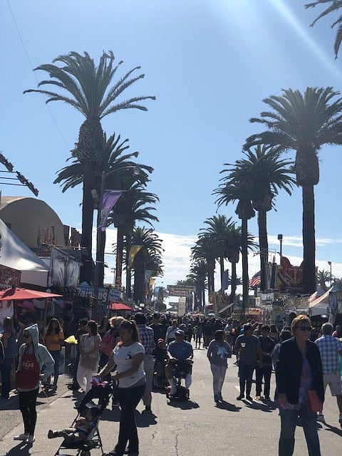 It is FAIR TIME!  Get your tickets now for discounted pricing -- all you can ride and free entry for the entire duration.  Access free concerts or pay VIP.  Best Fair ever!
