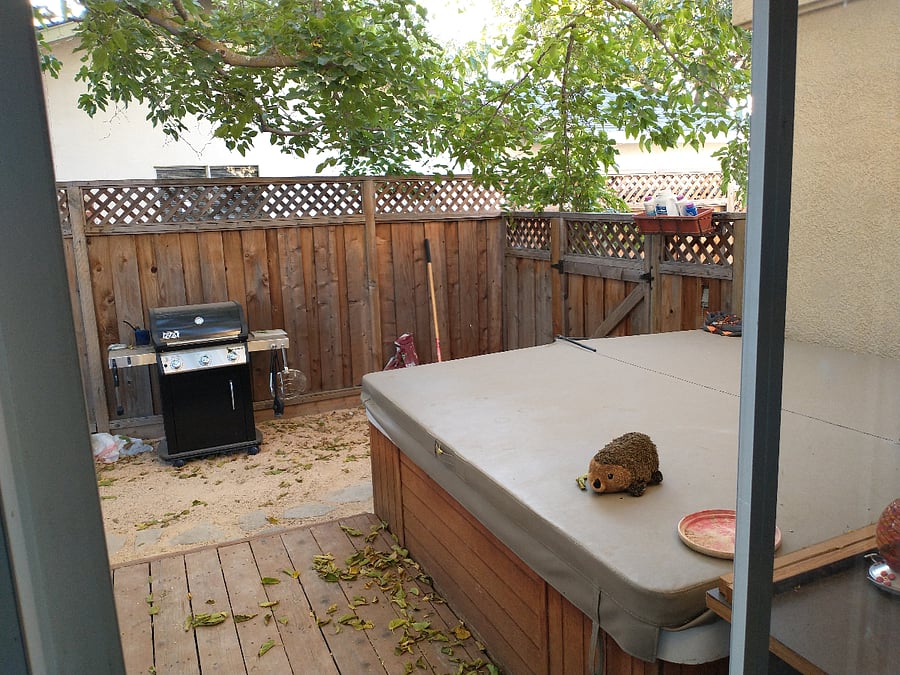 Backyard