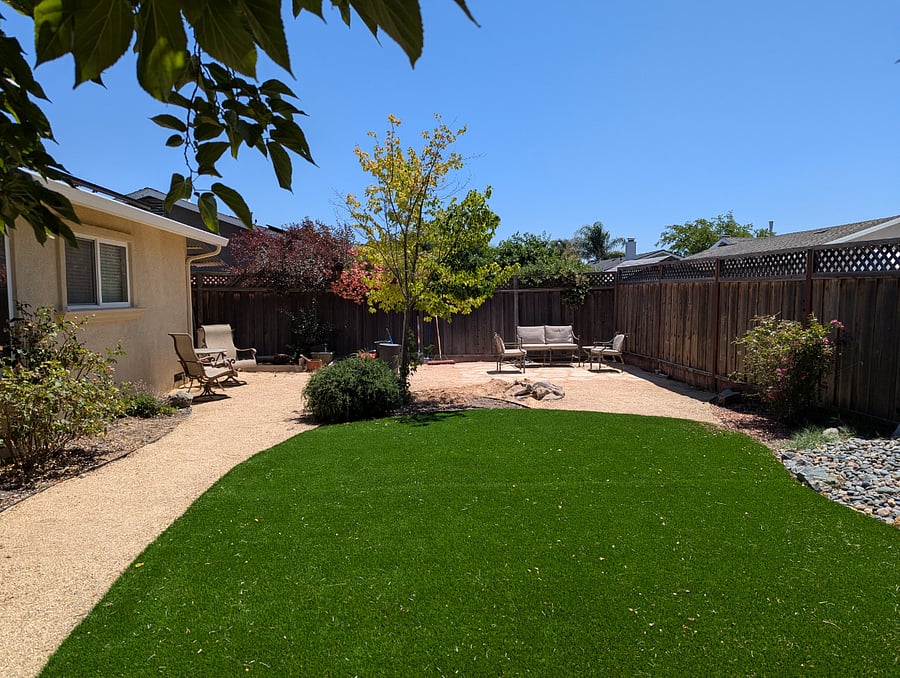 Backyard