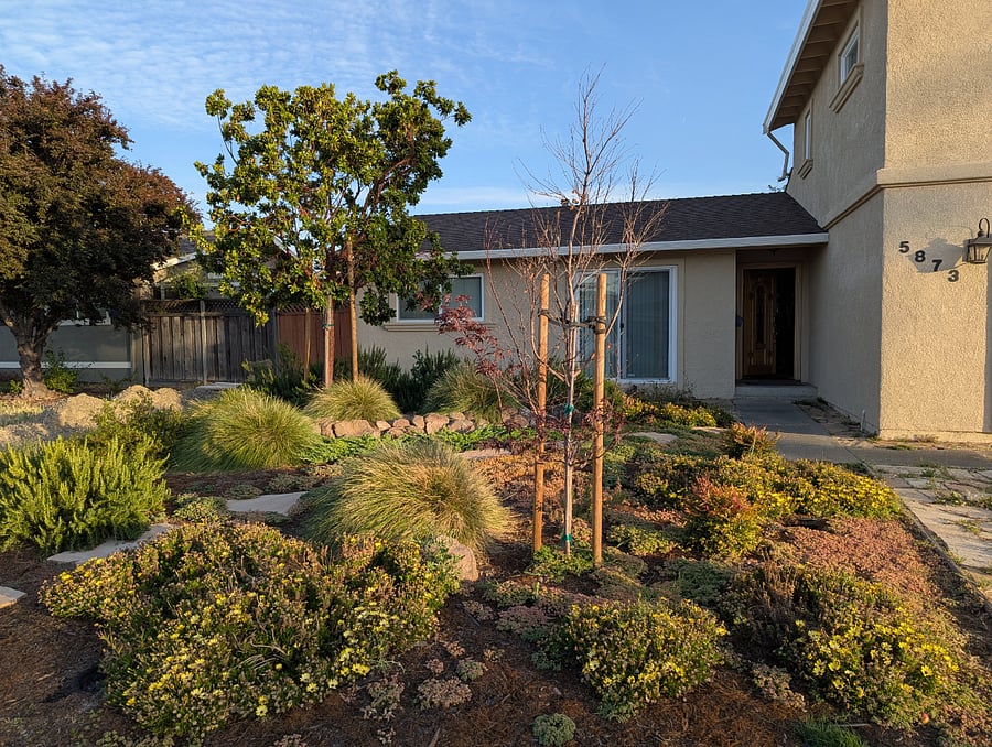 Front yard