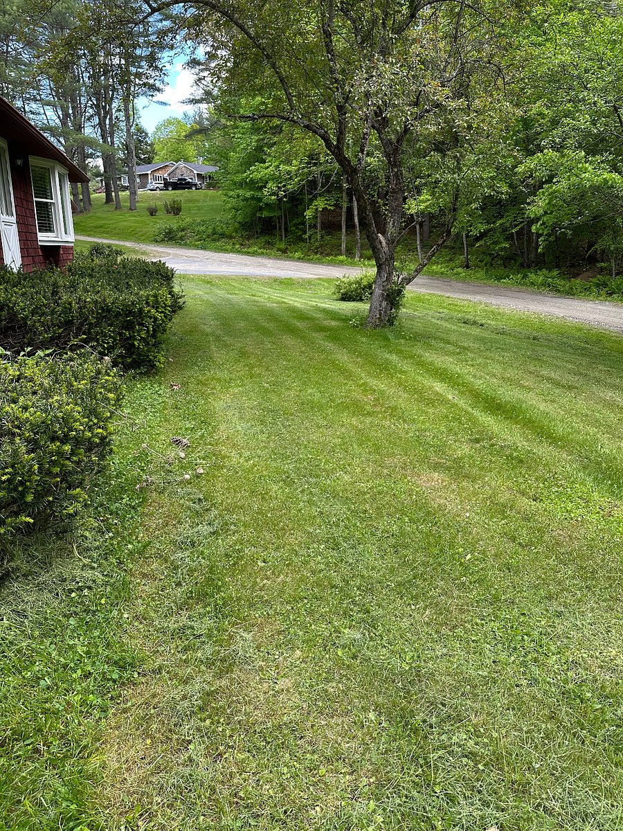 Furnished Finder property 1004241_1 photo 2
