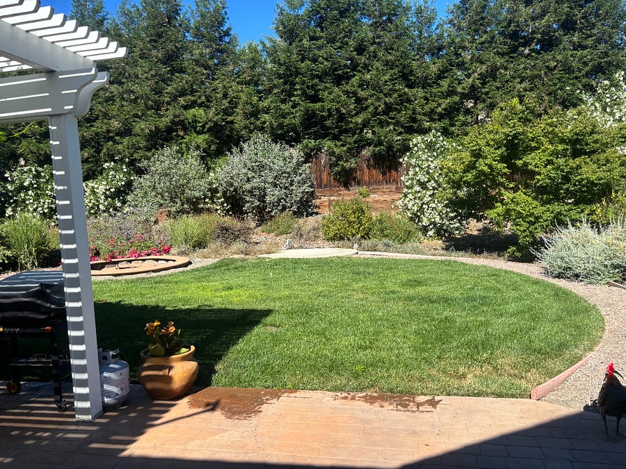 Furnished Finder property 1004243_1 photo 6