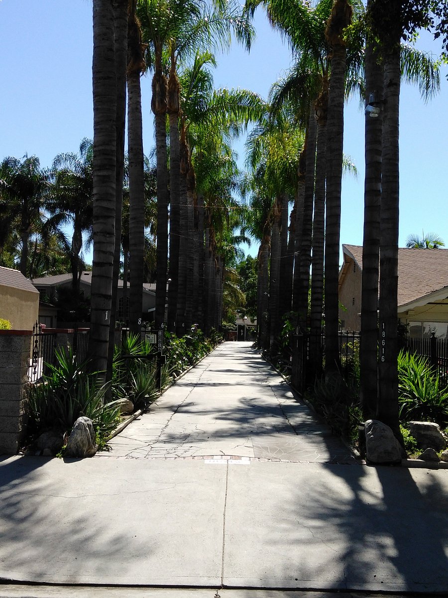Furnished Finder property 1004275_1 photo 11