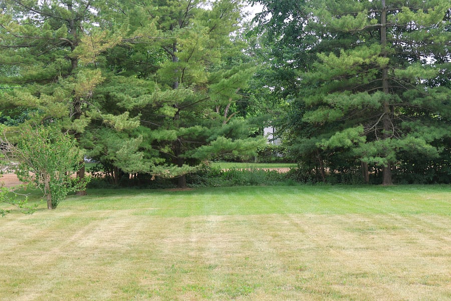 Furnished Finder property 1004286_1 photo 9