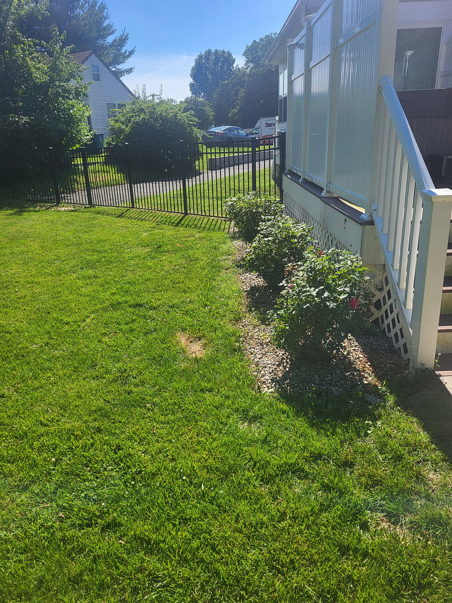 Furnished Finder property 1004298_1 photo 16