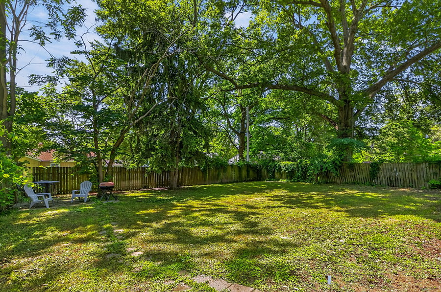 Furnished Finder property 1004301_1 photo 13