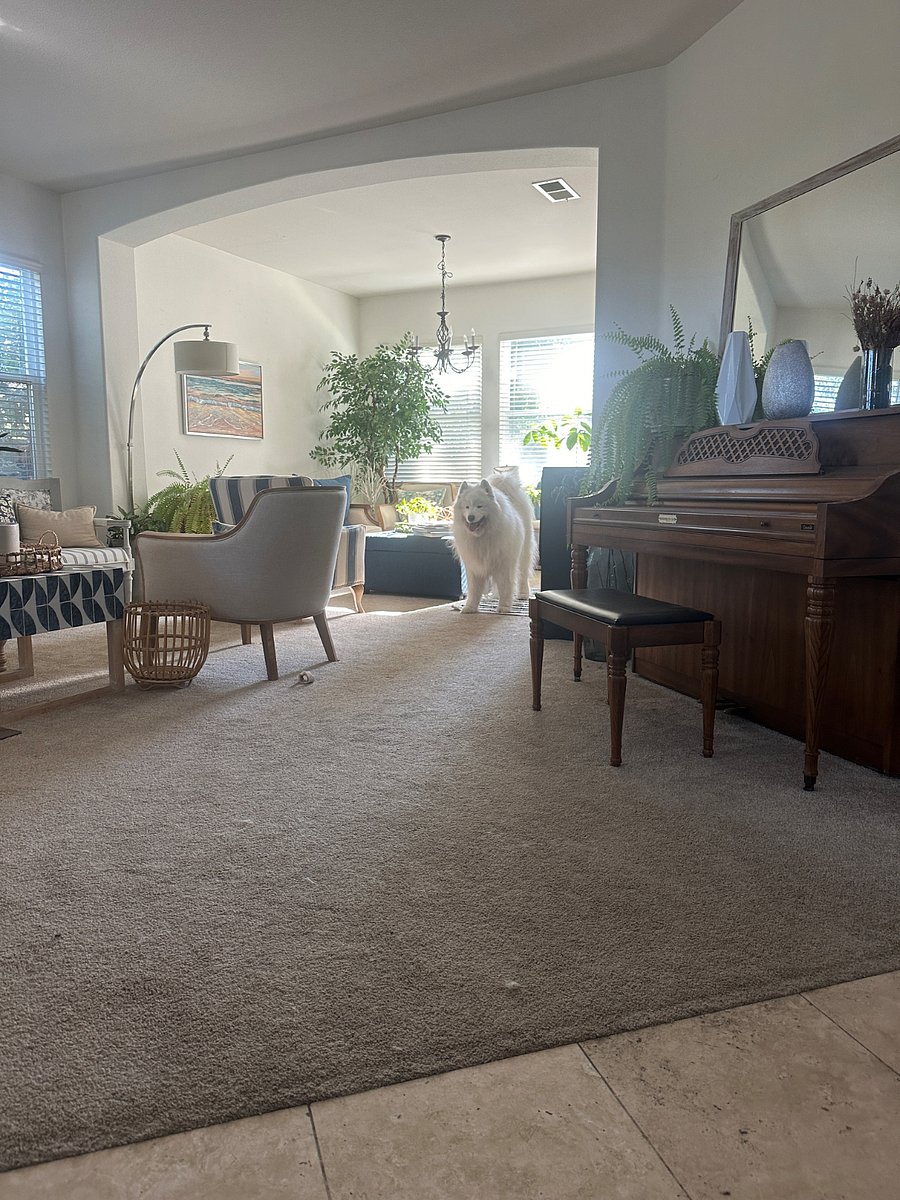 Furnished Finder property 1004331_1 photo 11