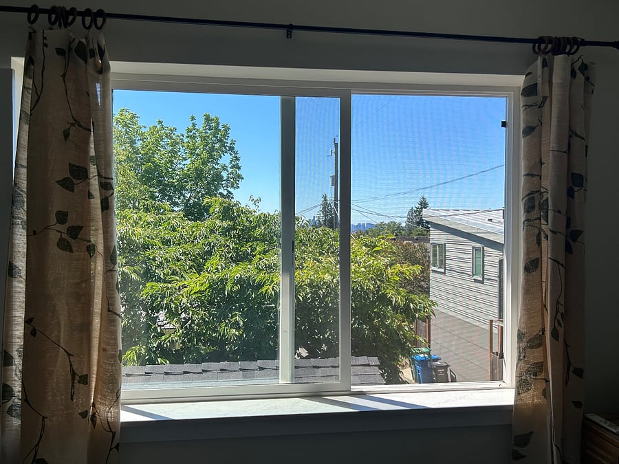Views of downtown