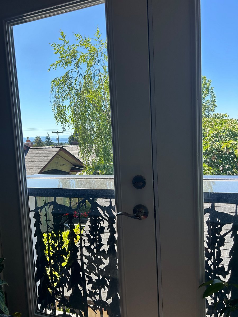Views of lake Washington
