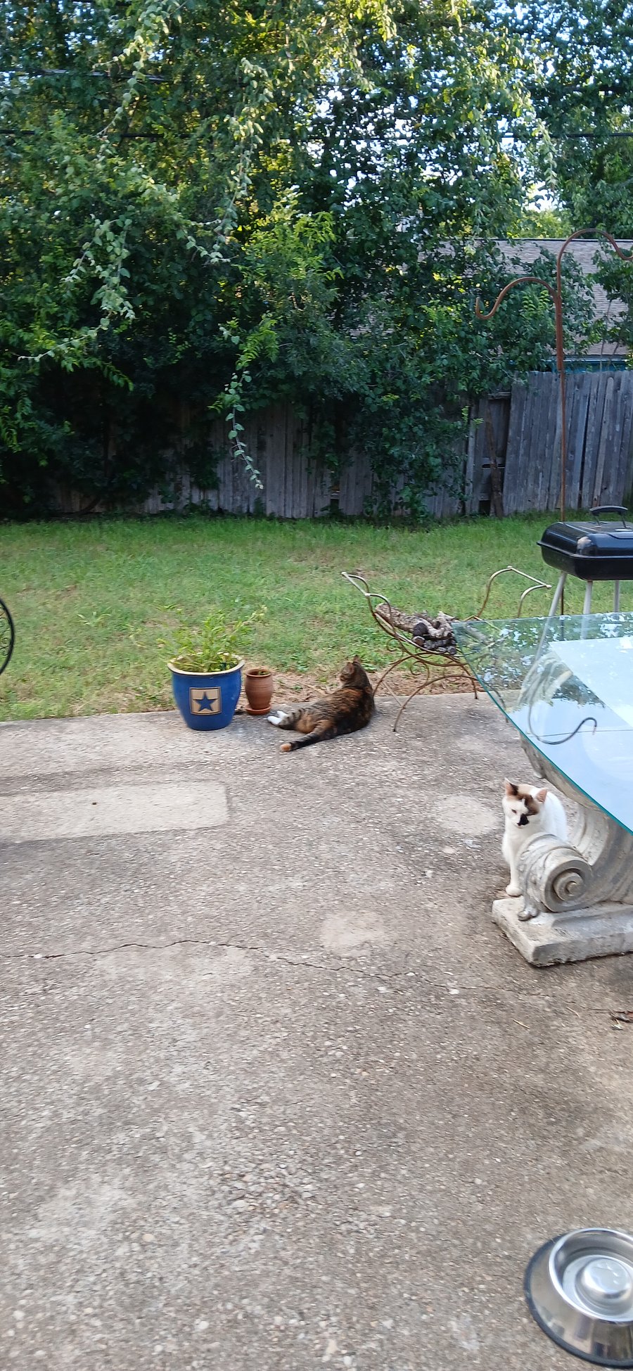 Large backyard w/ patio