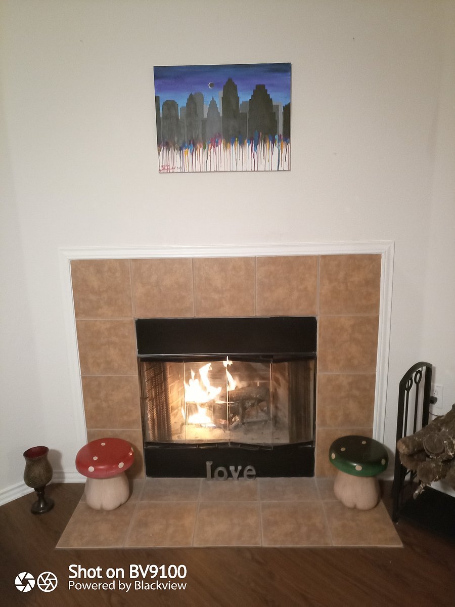 Wood burning fireplace