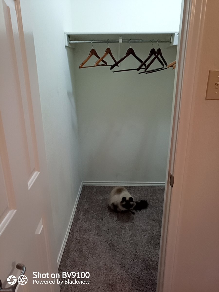first room  Walk in closet