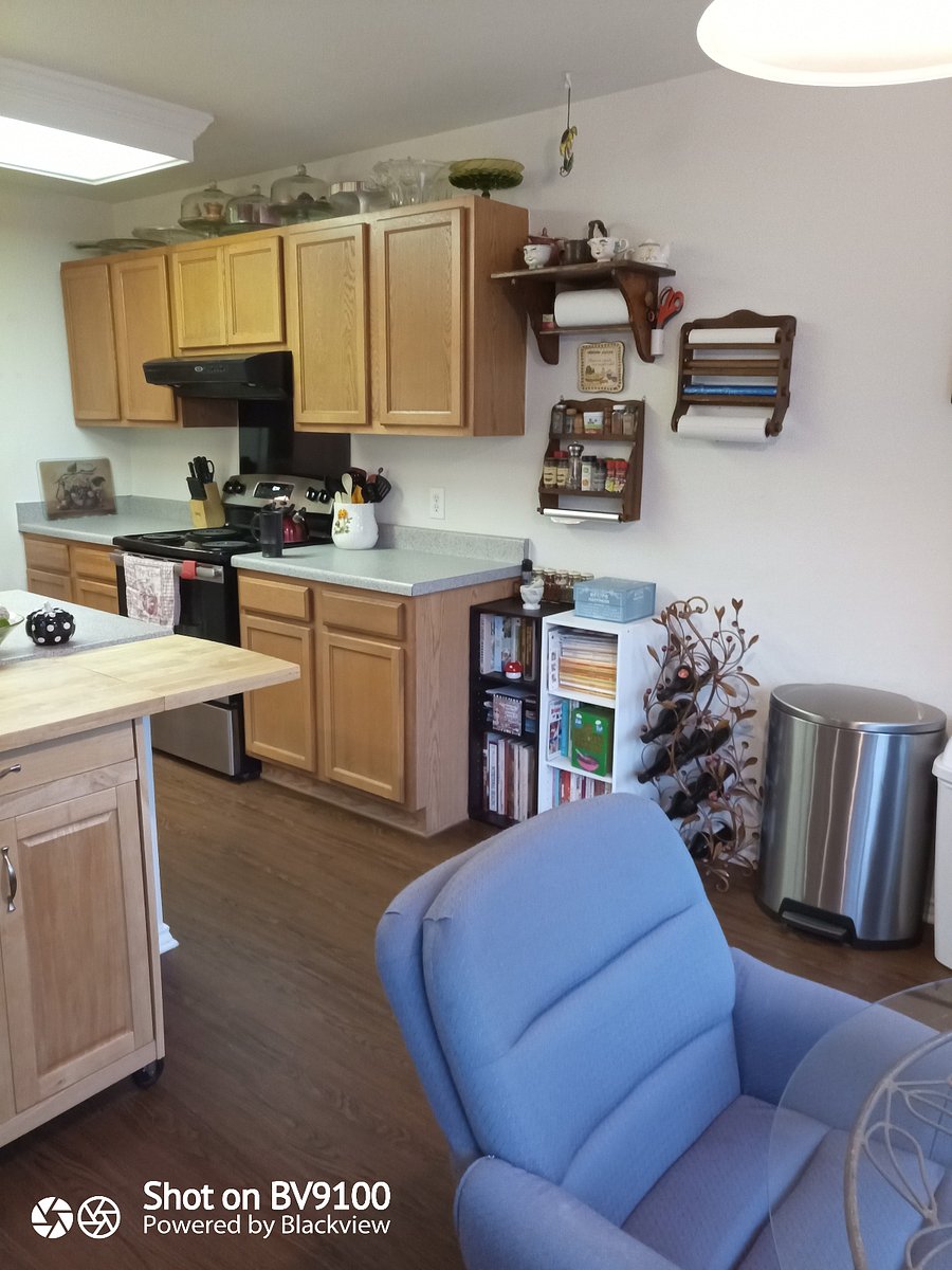 Large kitchen cookbook collection 