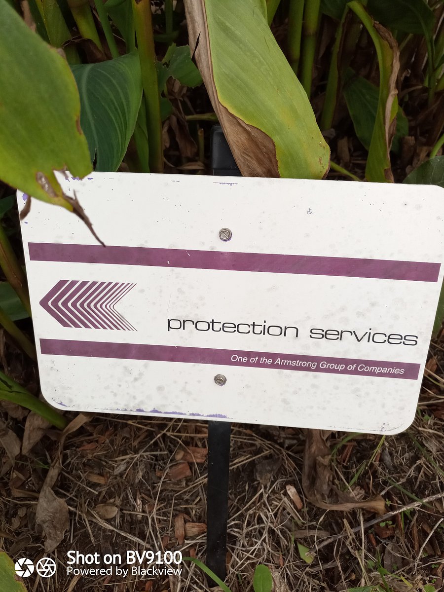 Guardian security system