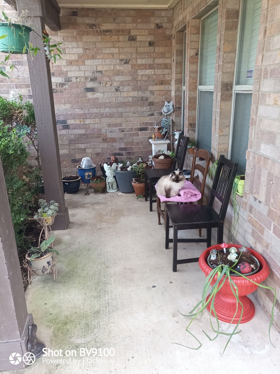 Front porch