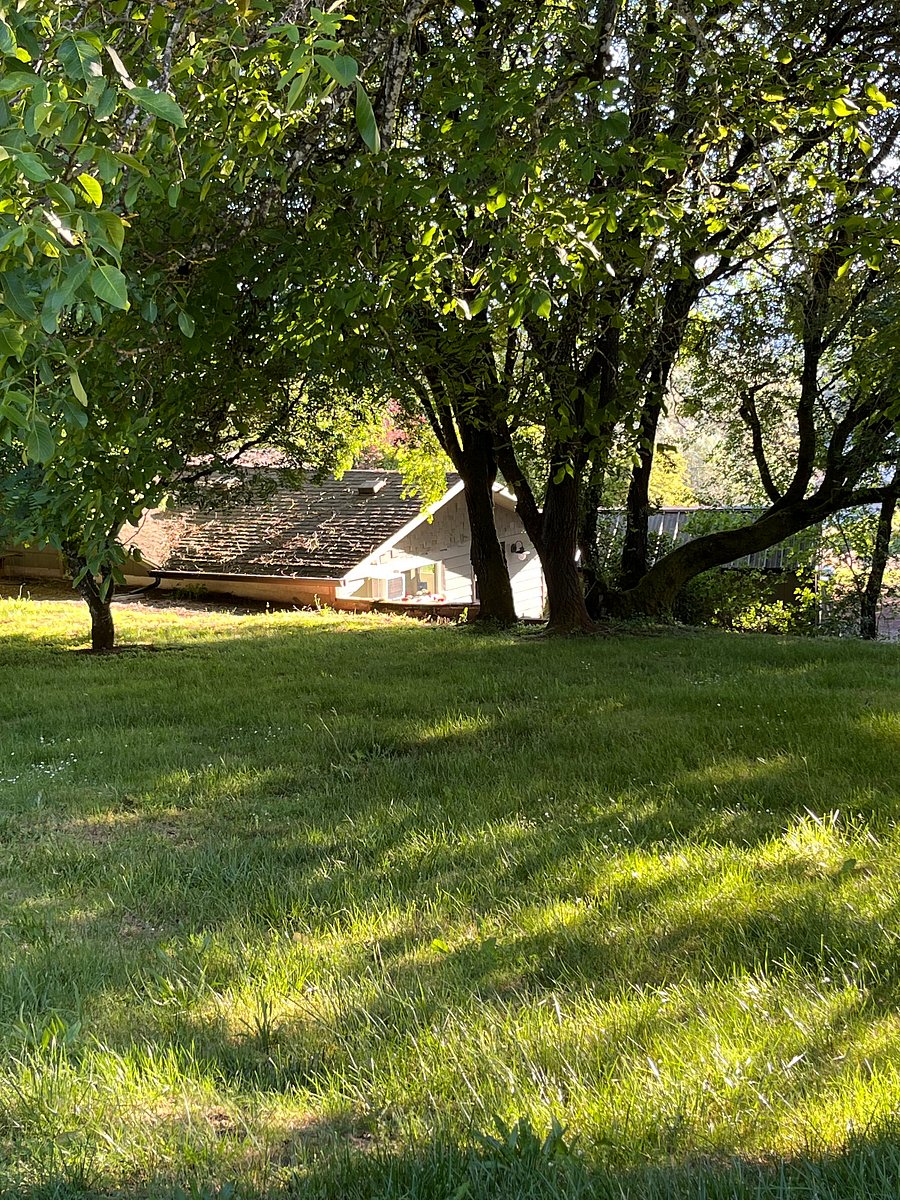 Furnished Finder property 1004433_1 photo 24