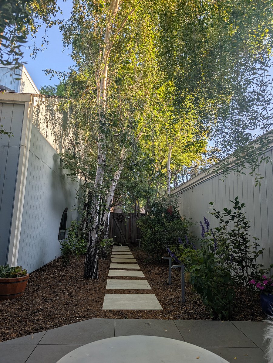 Backyard view on separate door to common area