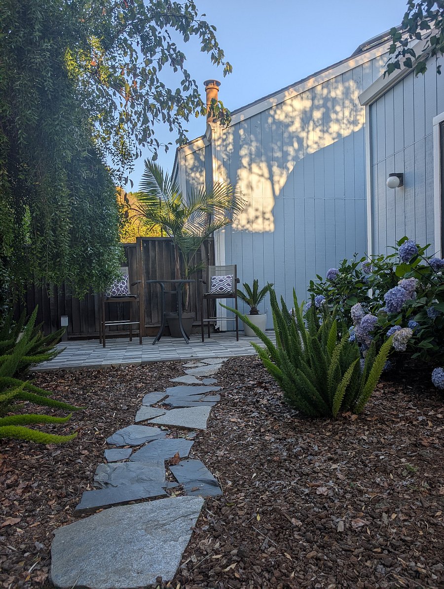 Backyard view on coffee corner