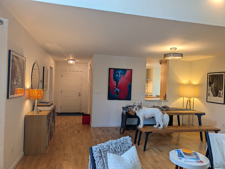 Living room (1st floor) - view on front door
