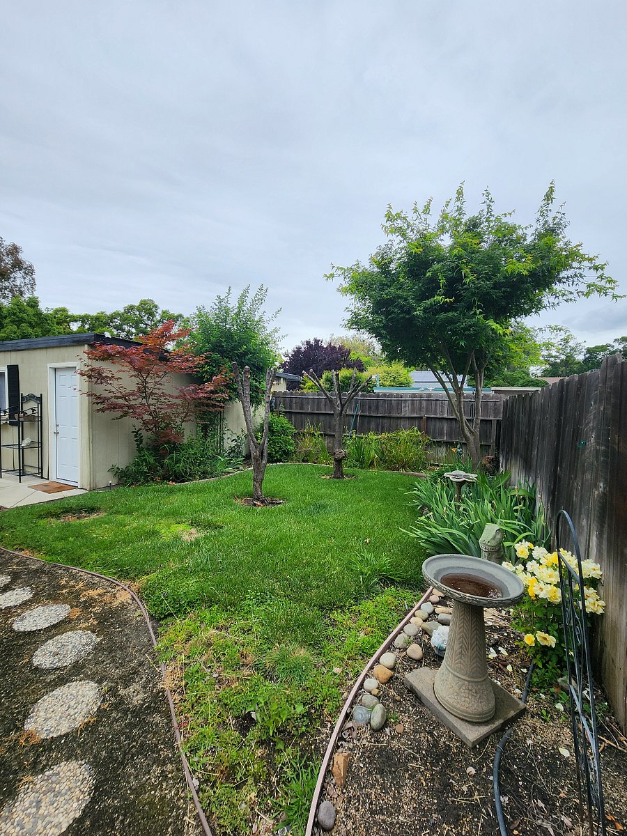 Furnished Finder property 1004473_1 photo 19