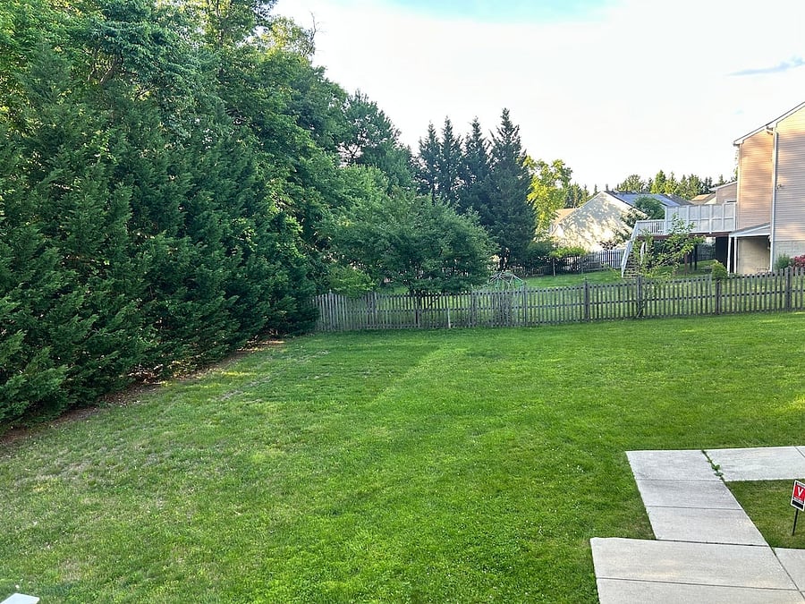 Furnished Finder property 1004495_1 photo 16