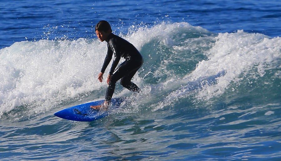 Owner is available for surf lessons.