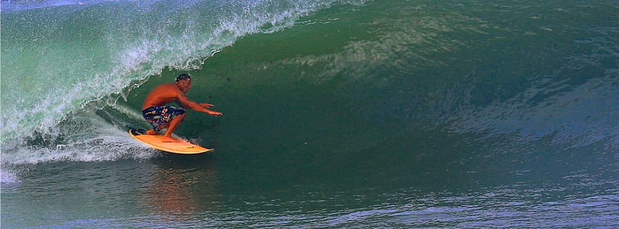 Owner is available for surf lessons.