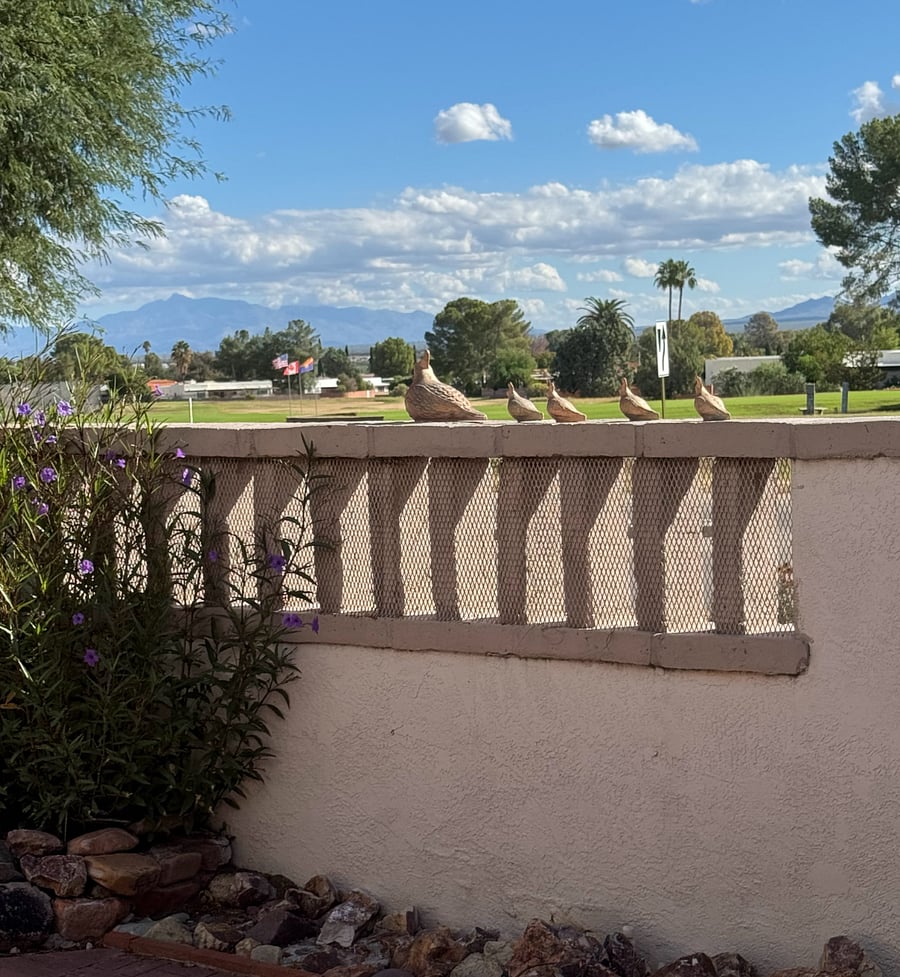 Furnished Finder property 1004540_1 photo 19