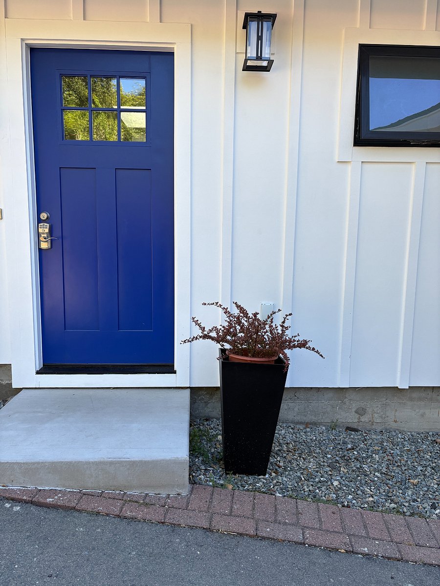 Front door with steps to entry from driveway