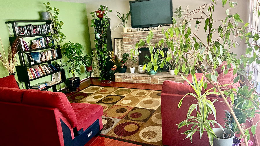 Furnished Finder property 1004655_1 photo 5