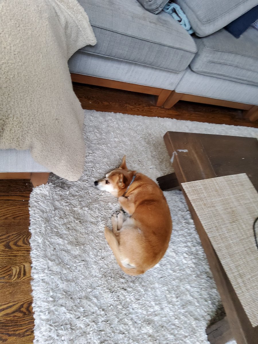 charlie, assistant manager