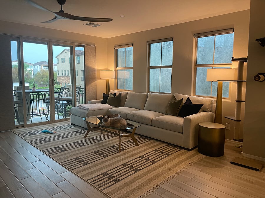 Spacious living room with plenty of natural light!