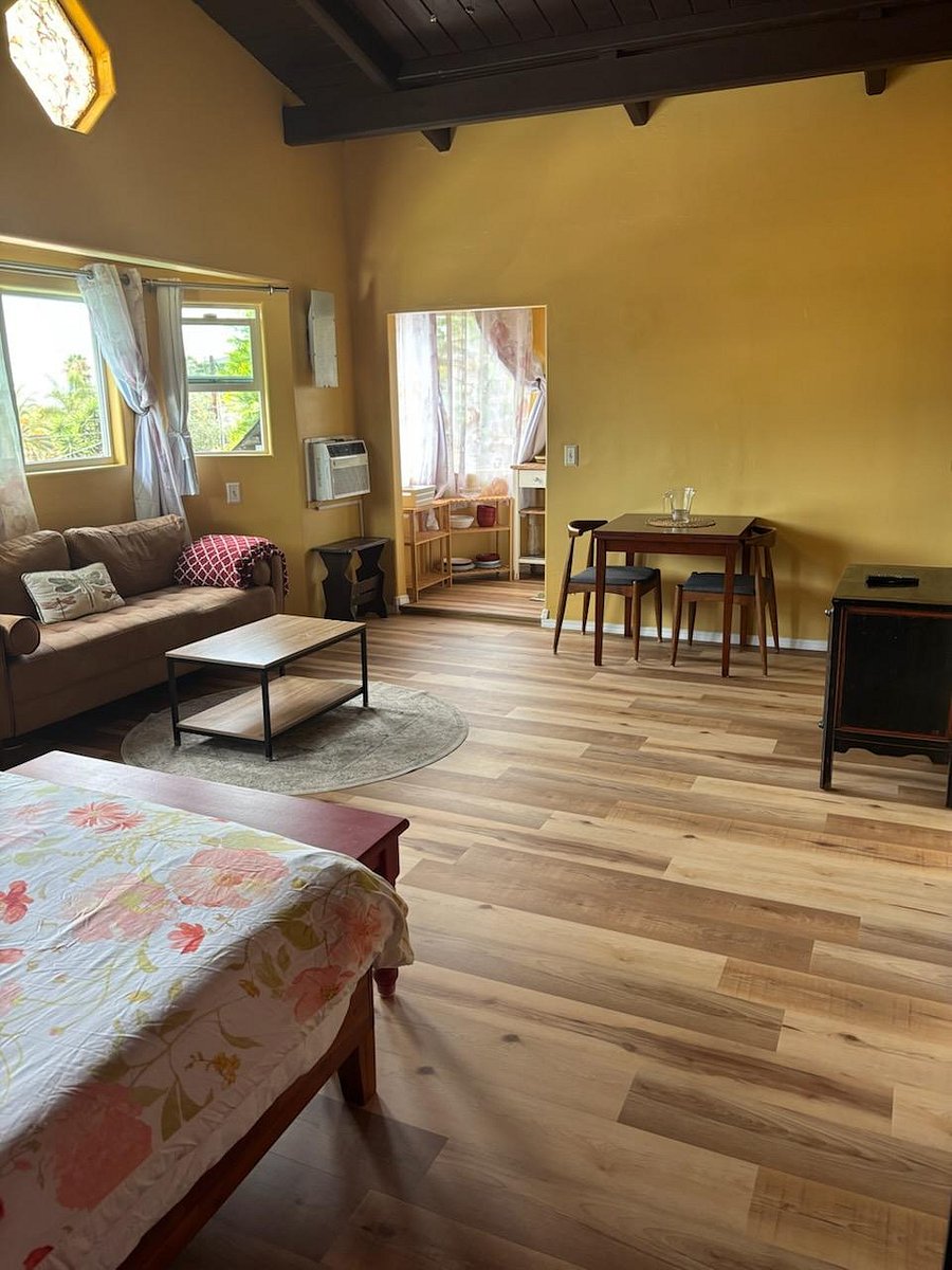 View of dining area and sofa.