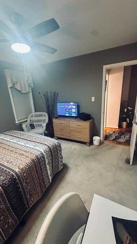 Furnished Finder property 1004814_2 photo 9