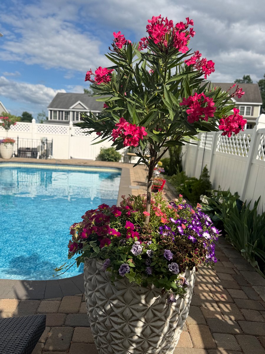 Furnished Finder property 1004850_1 photo 8