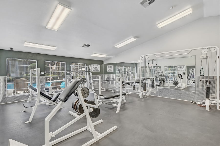 Gym - Weight Room