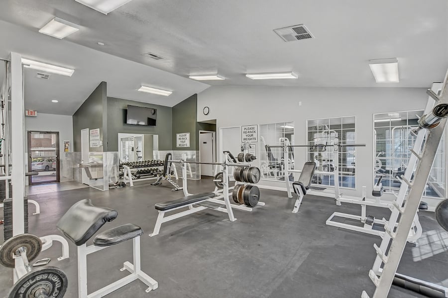 Gym - Weight Room